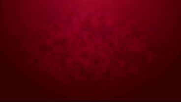 Newbie Rosa Josefin goes 1on1 rough only anal