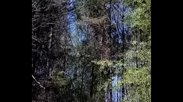 Bitch gets lost in the woods