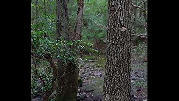 Forest Creampie with a weird girl from Florida